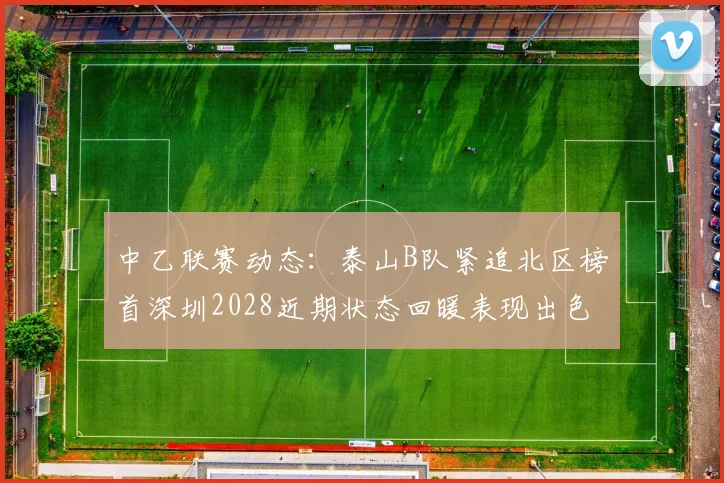 中乙联赛动态：泰山B队紧追北区榜首深圳2028近期状态回暖表现出色